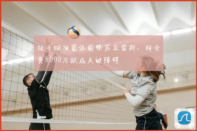 纽卡瞄准葡体前锋苏亚雷斯,转会费8000万欧成关键障碍